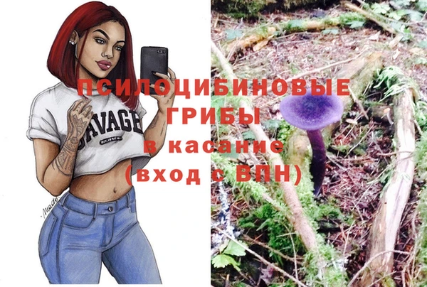 герыч Струнино