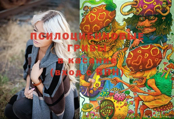 герыч Струнино
