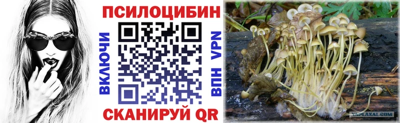 Галлюциногенные грибы GOLDEN TEACHER  Судогда 